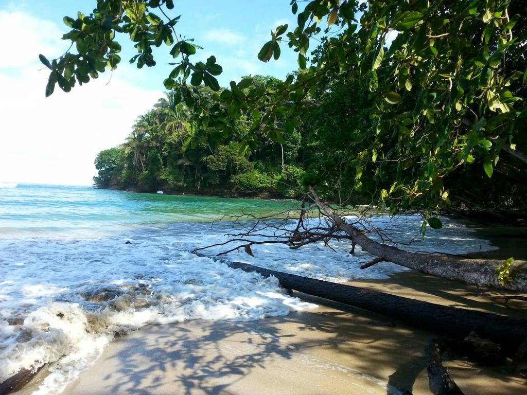 Mar Verde Lodge Puerto Viejo de Talamanca Ngoại thất bức ảnh