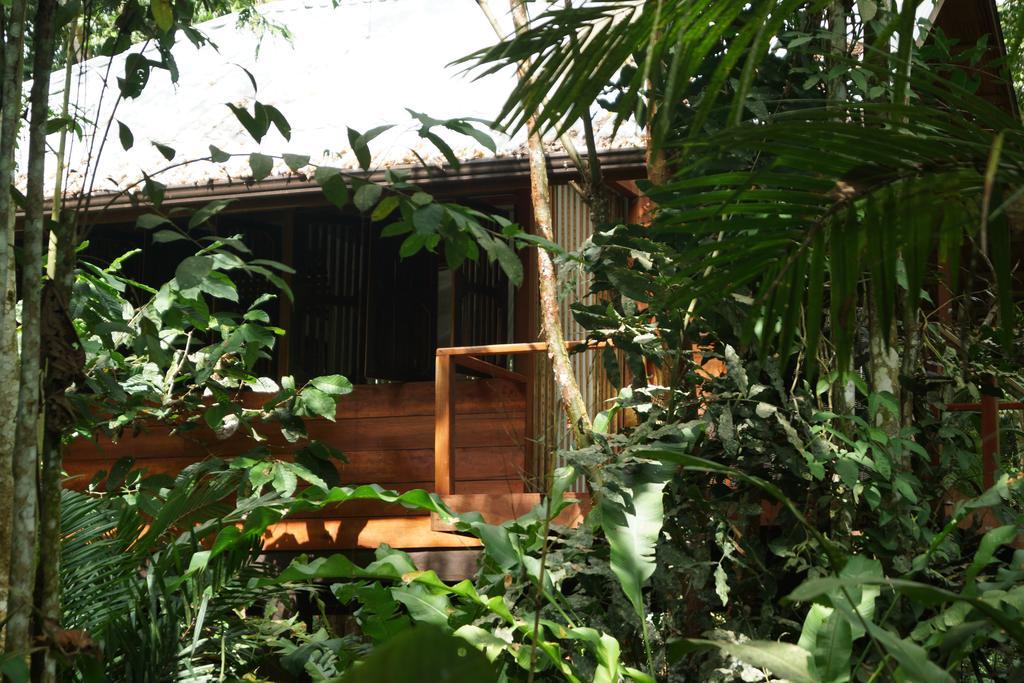 Mar Verde Lodge Puerto Viejo de Talamanca Phòng bức ảnh