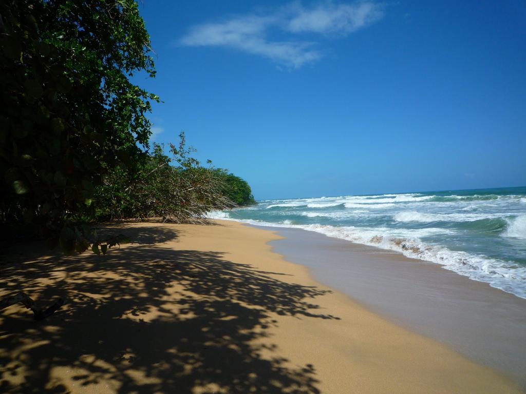 Mar Verde Lodge Puerto Viejo de Talamanca Ngoại thất bức ảnh
