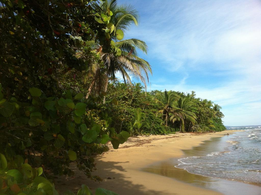Mar Verde Lodge Puerto Viejo de Talamanca Ngoại thất bức ảnh