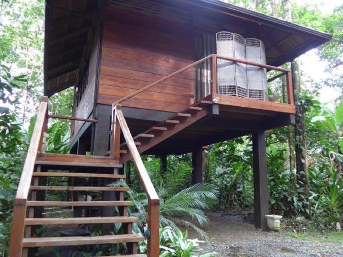 Mar Verde Lodge Puerto Viejo de Talamanca Ngoại thất bức ảnh