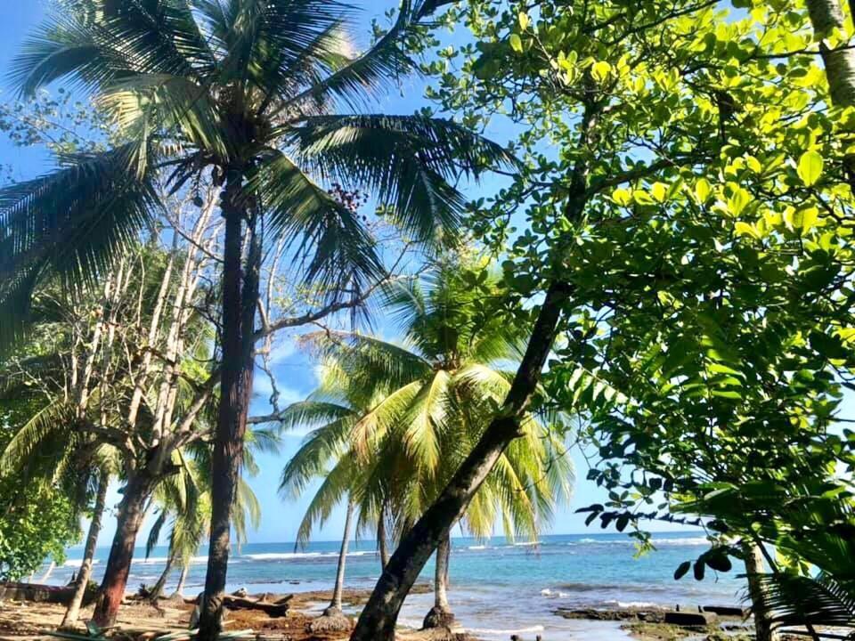 Mar Verde Lodge Puerto Viejo de Talamanca Ngoại thất bức ảnh